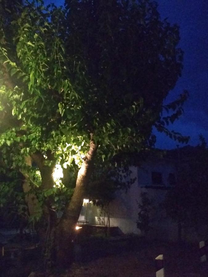 Kalama Apartments Kalamos  Bagian luar foto