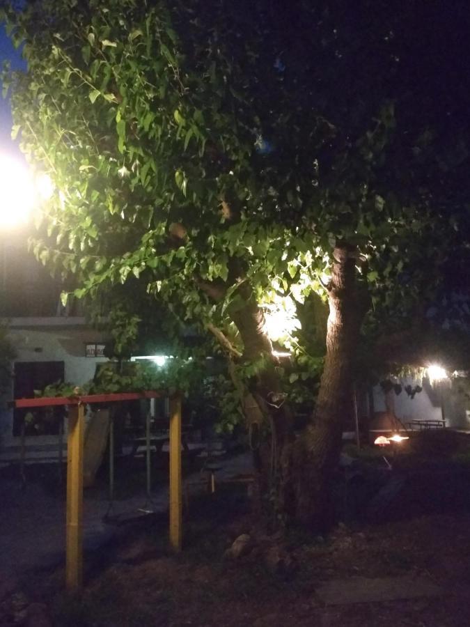 Kalama Apartments Kalamos  Bagian luar foto